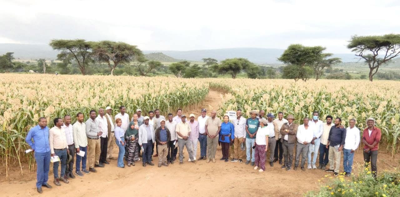 HFCO Farmers’ Cooperative Union Empowering Farmers, Growing Together!