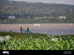 HARAMAYA FARMERS’ COOPERATIVE UNION (LTD)