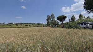 HFCO Farmers’ Cooperative Union Empowering Farmers, Growing Together!