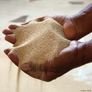 Teff Grain Per Kg